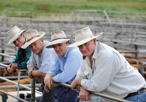 Photograph showing four men leaning forward with forearms resting on a metal fence rail. Each of the men wears an open-collared shirt and stockman's style hat. Their heads are inclined to the right. The backs of various coloured cattle and a series of metal cattleyards and green grass form the backdrop.