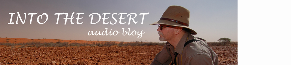 Into the desert audio blog