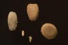 A variety of stone tools