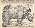 Durer's Rhinoceros Rhinoceros print