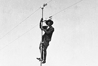 Overland telegraph A black and white photo taken in the 1920s of a man who has climbed up to the top of a pole