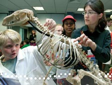 Children in Museum's archaeological workshops