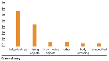 Graph displaying causes of injuries.