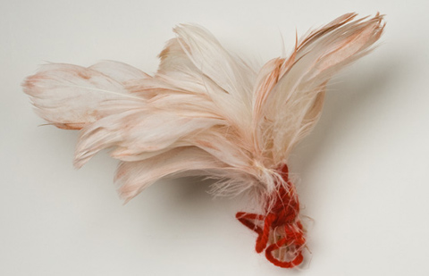 Feathered head ornament