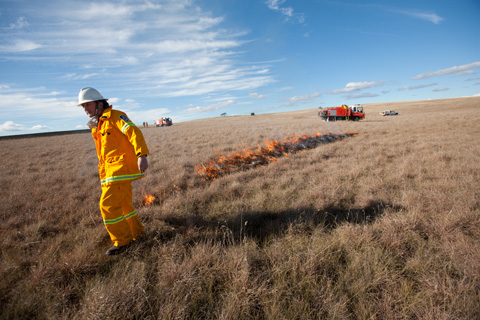 John Reynolds undertakes a 'cool burn'.