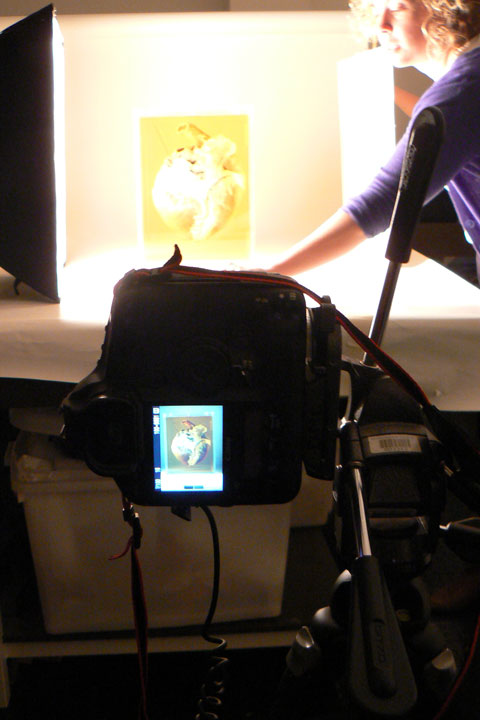 The heart on camera.