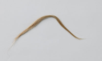 Blonde hair smaple.