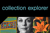 From our collection Collection Explorer