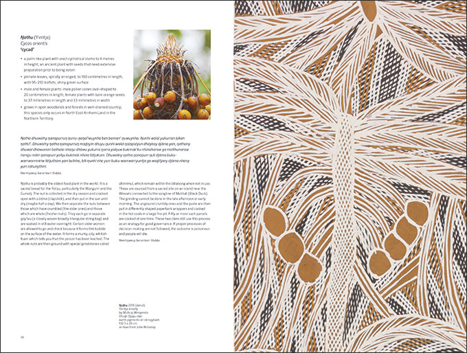 Page from the book featuring images and text.