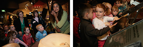 Image on left: Amaroo Preschool students watch Museum Education officer Deborah Frederick decorate her face with ground ochre. Image on right: Preschoolers stroke a possum skin in the 'Tooloyn koortakay' exhibit.