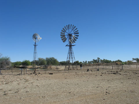 Landscape image showing two windmills, with a small dam to the left, grazing land at the front, scrub on the horizon and a clear blue sky.