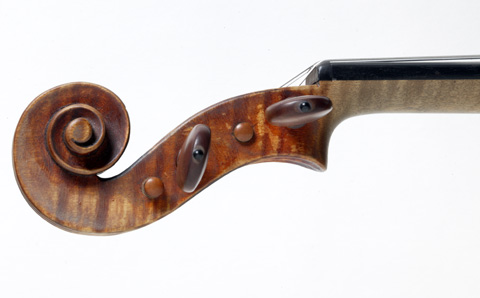 Cello Pegbox