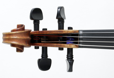 Viola pegbox front view.