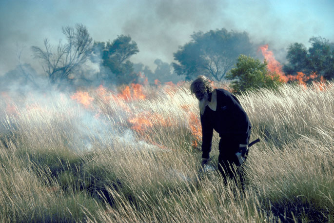 Colour photograph showing a bearded Aboriginal man walking among long grass with a smoking stick. Behind him, the grass is ablaze.