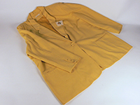 A yellow jacket