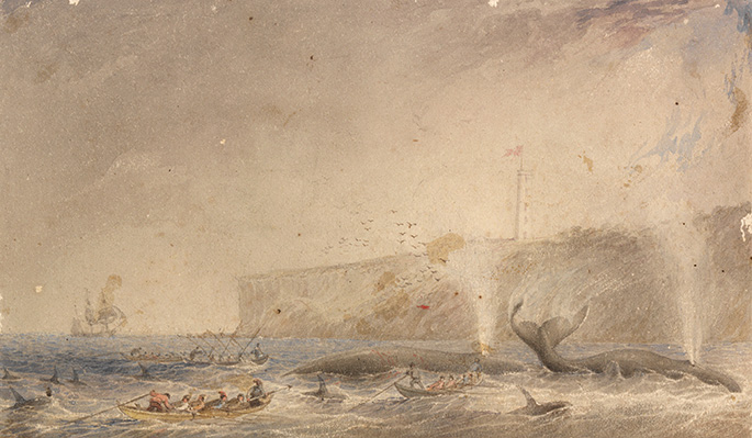 Three boats hunting two whales. The dorsal fins of killer whales are visible among the boats. A ship is visible in the background, as are cliffs with a lighthouse flying the Union Jack.