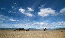 Dulcie Greeno gathers shells for jewellery making on a Tasmanian beach.