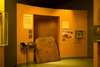 The Since Time Immemorial: Central Australia display