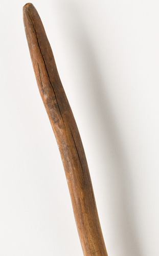 Digging stick