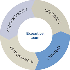 Doughnut chart divied into four equal sections labelled: 'Accountability', 'Controls', 'Strategy', 'Performance'. The centre of the doughnut is labelled 'Executive team'.