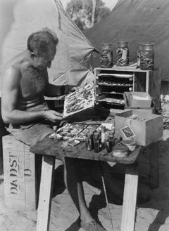 John Bray with insects specimens, 1948.