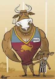 Cartoon of a giant, muscly Mallee bull and a tiny calf standing on a football field in AFL jerseys.