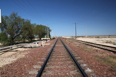 Lanscape image of two parallel sets of railway tracks extending to the horizon. Overhead lines run either side of the tracks. The horizon ends in clear blue sky. Several green trees are visible beside the tracks on the the left of the image.