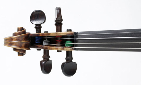 Front view of a violin pegbox.