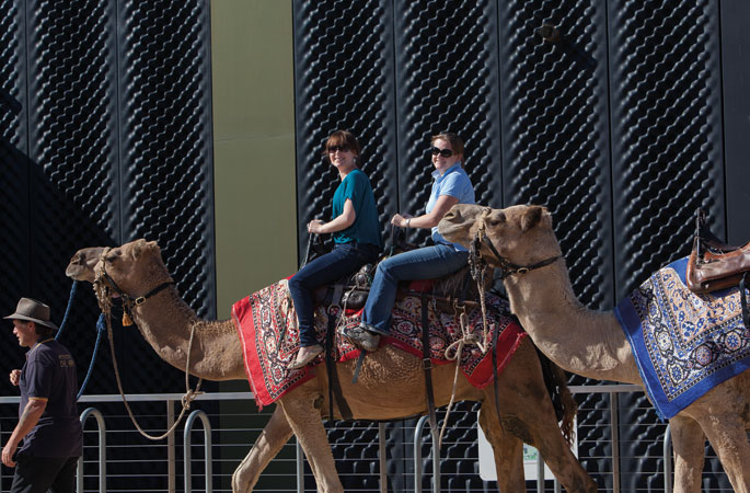 A photograph of a man wearing a hat who is leading two camels. There are two women riding the first camel.