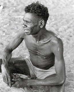 Dawidi