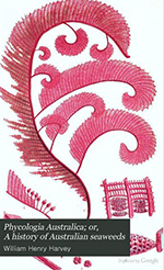 Botanical art Botanical art