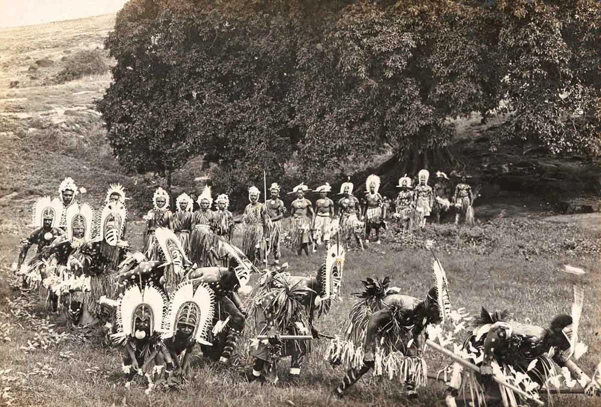 Procession of Torres Strait Islander dancers in elaborate traditional costumers.