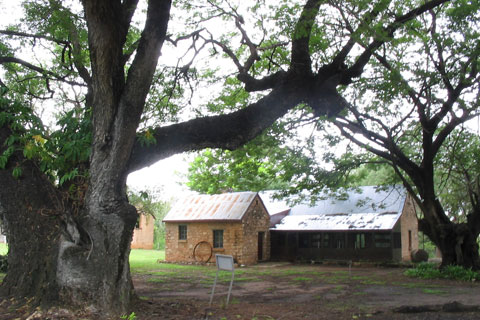 Image of farm homestead, framed by large trees