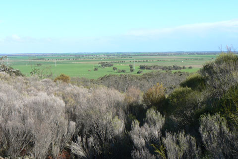 Keith district farmland viewed from Mount Monster, with scrub in the foregrourd and green plains beyond