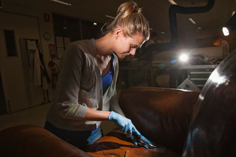 A non woven textile coated with adhesive is used as a lining beneath the tear.