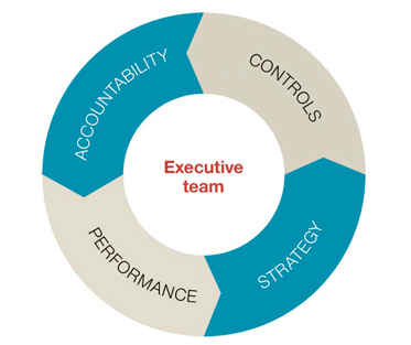 Doughnut chart divided into four equal sections labelled: 'Accountability', 'Controls', 'Strategy', 'Performance'. The centre of the doughnut is labelled 'Executive team'.