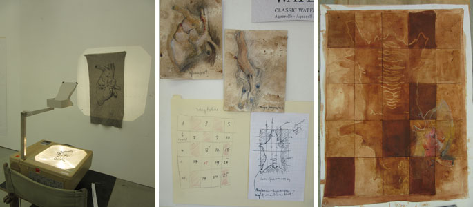 A number of artworks depicting various parts of a thylacine