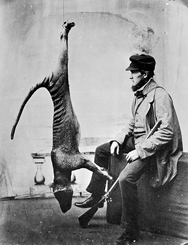 Man holding rifle poses with dead thylacine strung up from ceiling.