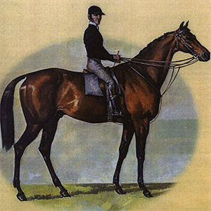 a horse and jockey