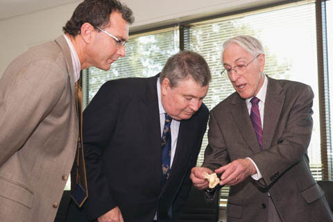 Mathew Trinca and Craddock Morton lean forward to look at a small bone being held by Graeme Clark.