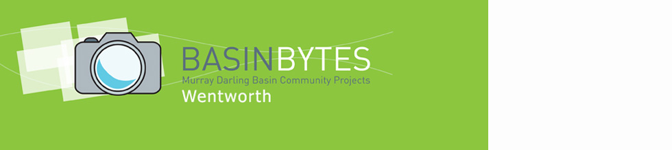 Wentworth Basin Bytes