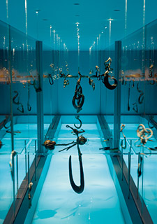 A variety of fishhooks within a display case that is illuminated with a blue light.