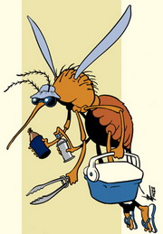 A cartoon of a mosquito in a pair of thongs, carrying an esky, a bottle of beer and insect repellent.