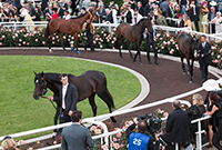 Flemington on Cup Day'