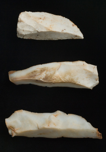 White cut stones (Chert flakes)