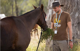 A man feeding a horse at the Tom Quilty endurance event.