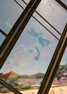 A colour photograph of one of the windows at the National Museum of Australia. On the window have been drawn colourful insects and other animals. The drawings are in a cartoon style. On the window is the reflection of part of Lake Burley Griffin and some hills in the distance.