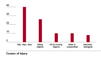 Bar chart - Causes of injury