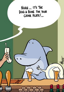 Cartoon of a Noah (a shark) and his china plate (date) having a beer.