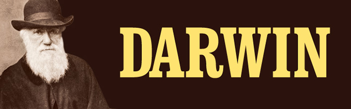 Darwin